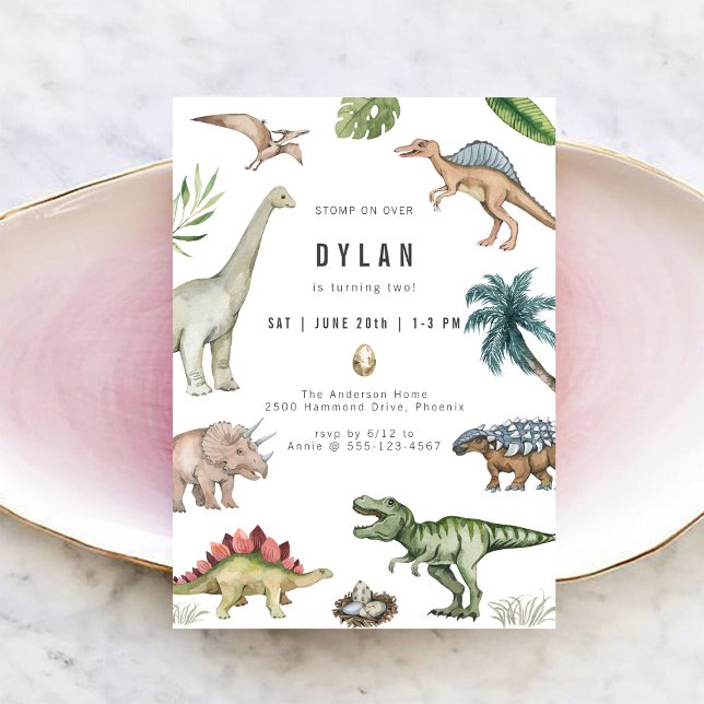 Dinosaur Kids Birthday Party Invitation (Créateur téléchargé)