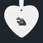 dinosaur on turtle Copy<br><div class="desc">dinosaur on turtle Copy</div>