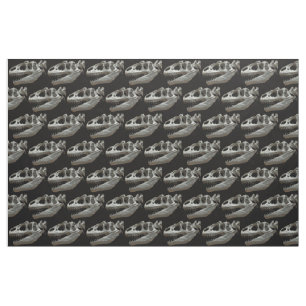 Dinosaure Tissu de squelette de tête