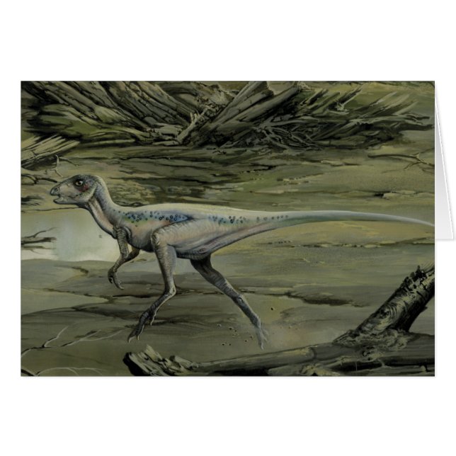 Dinosaures Vintage, un Hypsilophodon du Crétacé (Devant horizontal)