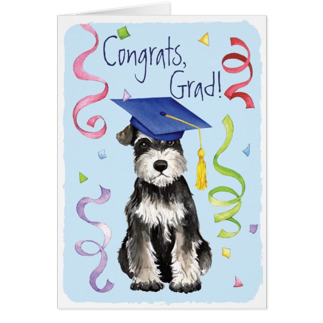 Diplômé de Mini Schnauzer (Devant)