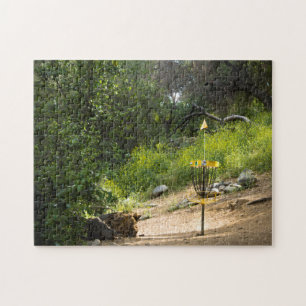 Disc Golf Puzzle