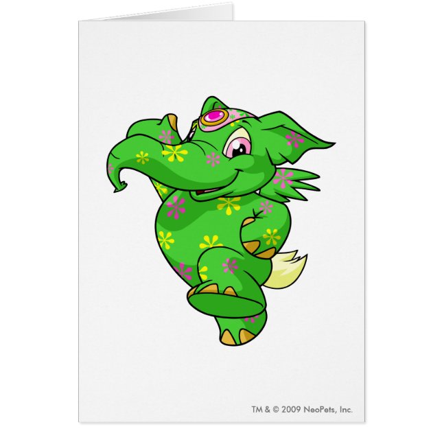 Disco d'Elephante (Devant)