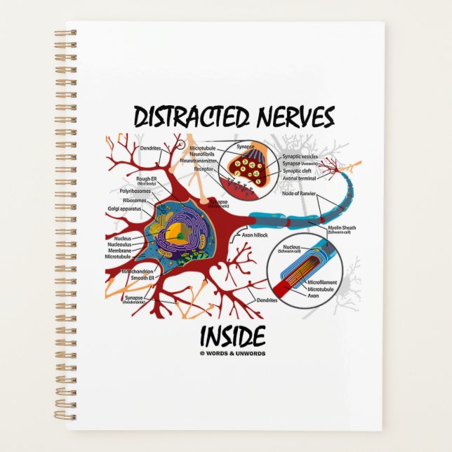 Distracted Nerves Inside Neuron Synapse Humour (Devant)