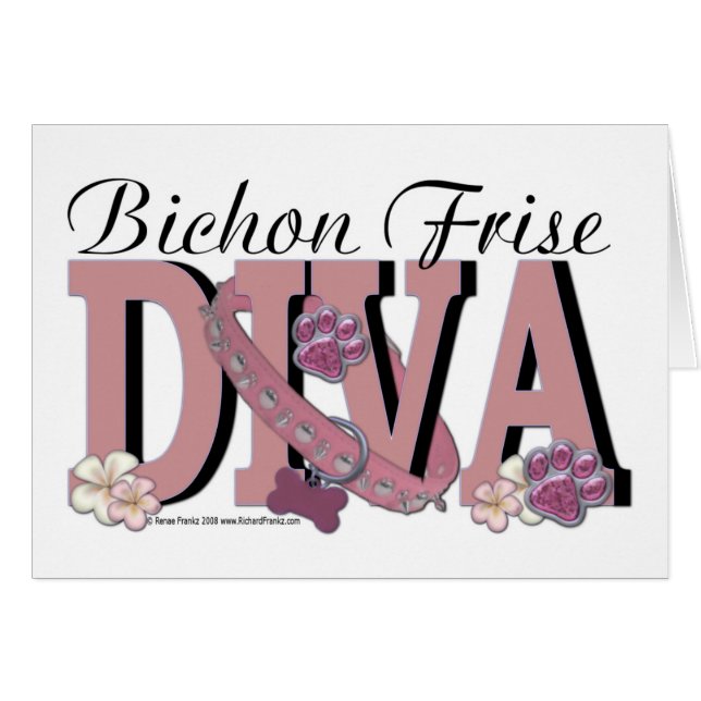 DIVA de Bichon Frise (Devant horizontal)