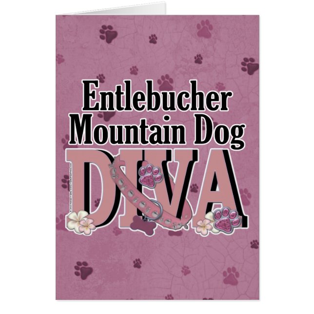 DIVA de chien de montagne d'Entlebucher (Devant)