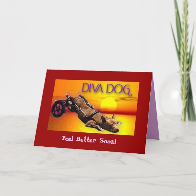 DIVA DOG "Sentez-vous mieux bientôt !" Carte de vœ (Devant)