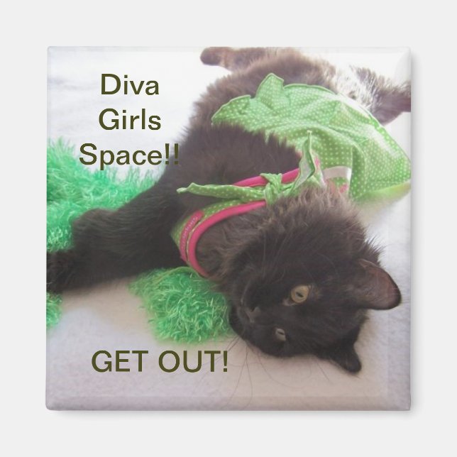 DIVA GIRL LOCKER MAGNET (Devant)