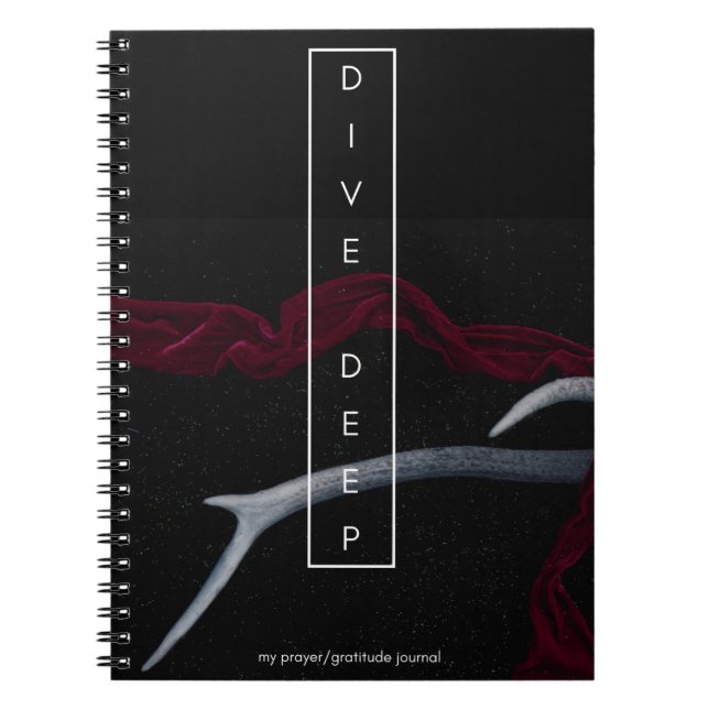 Dive Deep Prayer and Gratitude Journal (Devant)