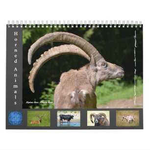 Divers animaux calendrier 12 mois