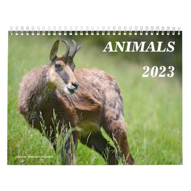 Divers calendrier des animaux (Protection)