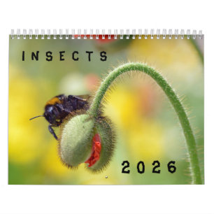 Divers calendrier des insectes