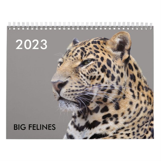 Divers grands calendriers comme des chats (Protection)