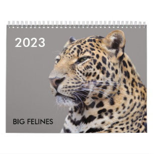 Divers grands calendriers comme des chats