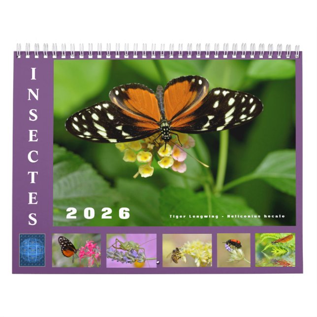 Divers insectes calendrier 12 mois (Protection)