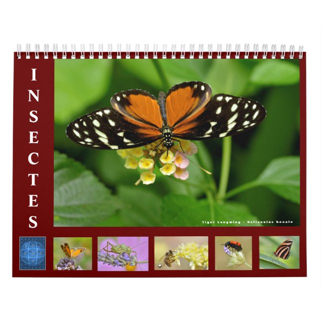 Divers insectes calendrier 12 mois (Protection)