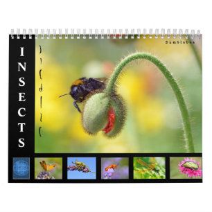 Divers insectes calendrier 12 mois