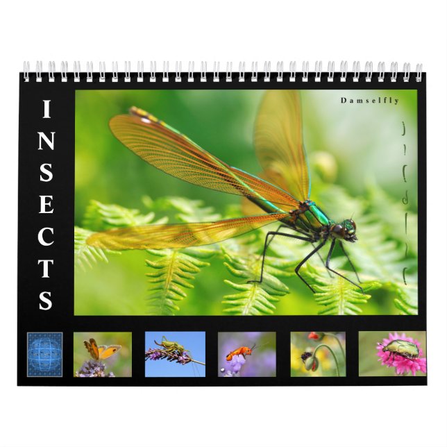 Divers insectes calendrier 12 mois (Protection)