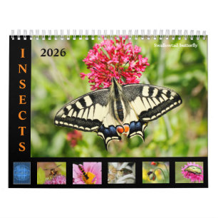 Divers insectes et fleurs calendrier 12 mois