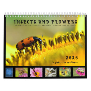 Divers insectes et fleurs calendrier 12 mois