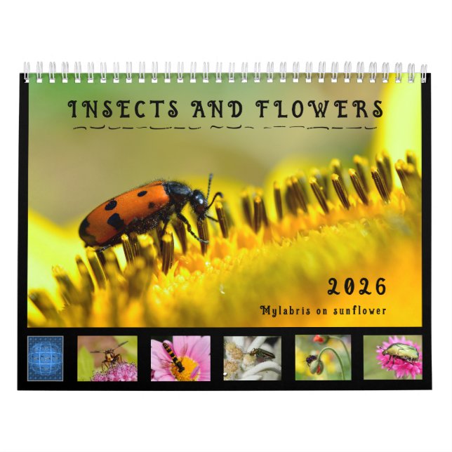 Divers insectes et fleurs calendrier 12 mois (Protection)