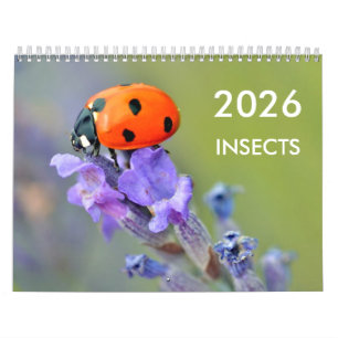 Divers insectes pour le calendrier 2023