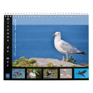 Divers oiseaux de mer calendrier 12 mois
