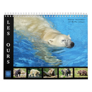 Divers ours calendrier 12 mois
