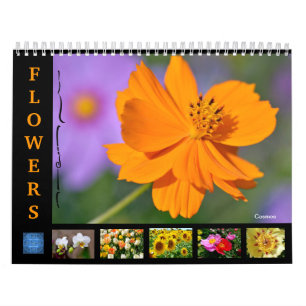 Diverses fleurs calendrier 12 mois