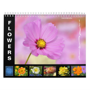 Diverses fleurs calendrier 12 mois