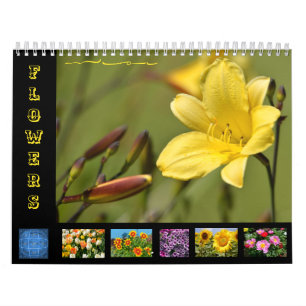 Diverses fleurs calendrier 12 mois
