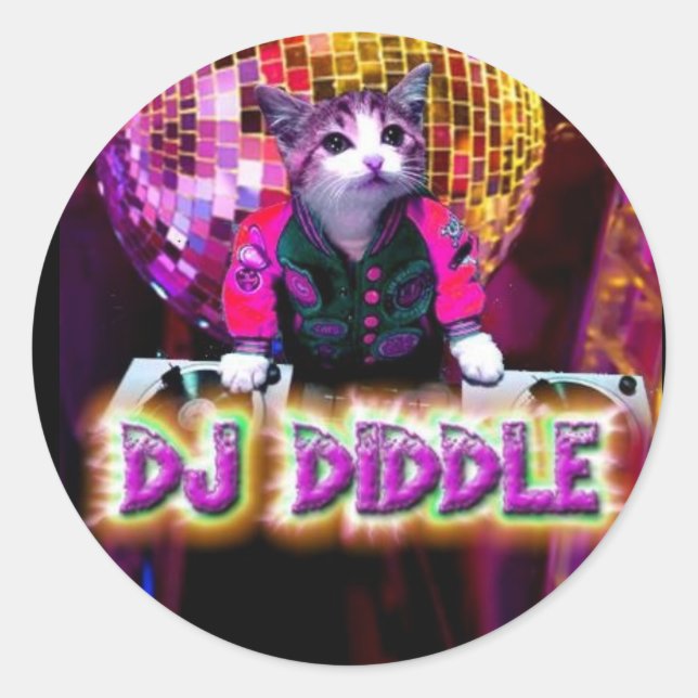 DJ DIDDLE STICKER (Devant)