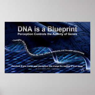 DNA is a Blueprint Poster