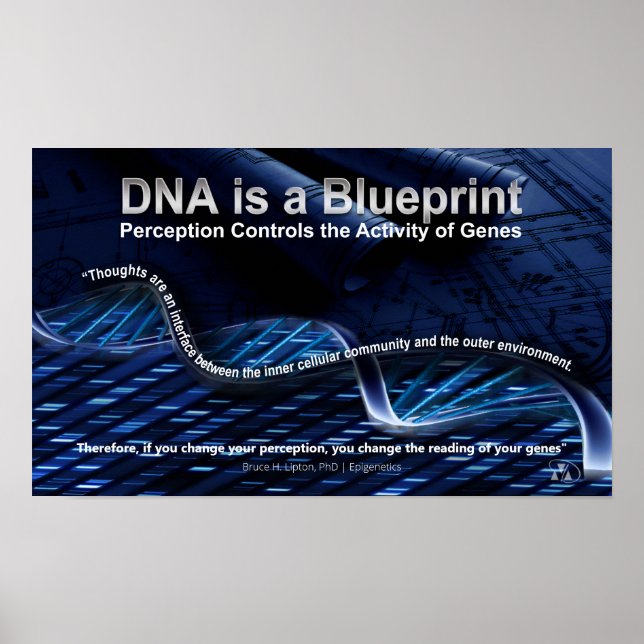 DNA is a Blueprint Poster (Devant)