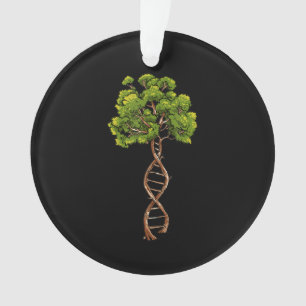 Dna Tree Of Life Science Genetics Biology Environm