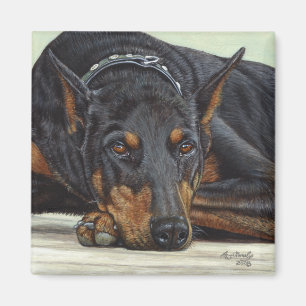 Doberman Dog aimant
