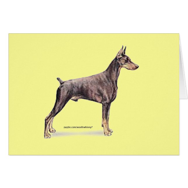 Doberman Pinscher (Devant horizontal)