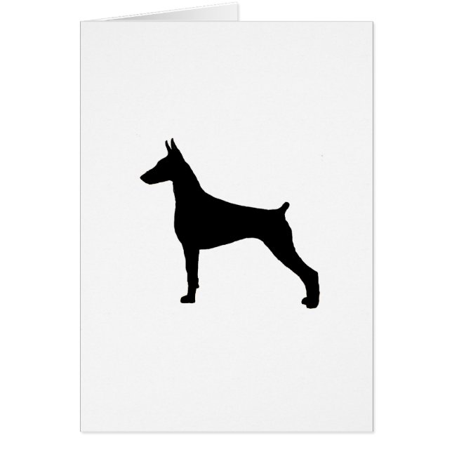 doberman pinscher (Devant)