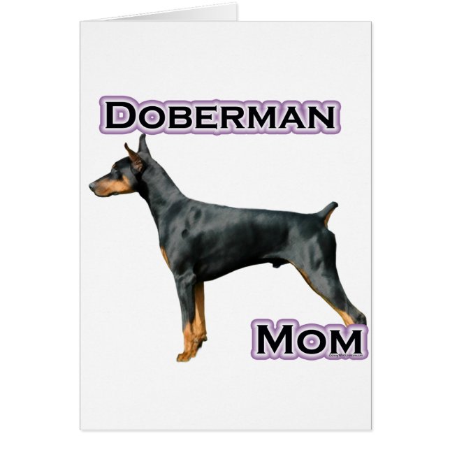 Doberman Pinscher Maman 4 (Devant)