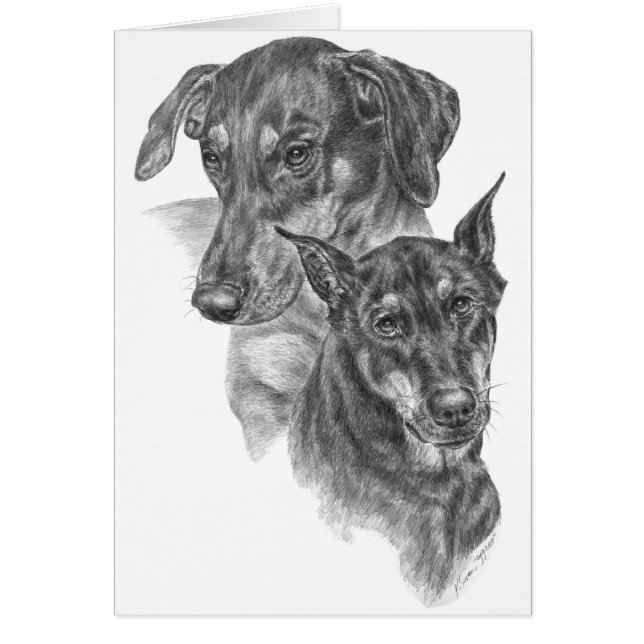 Doberman Pinscher Portrait Dessin de Kelli Swan (Devant)