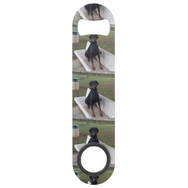 doberman pinting (Devant)