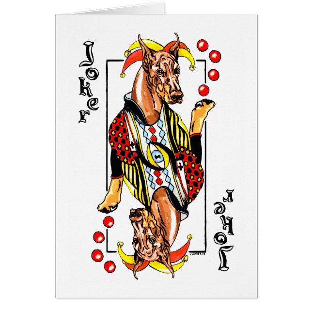 Doberman Red Joker (Devant)