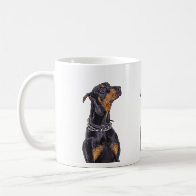 Dobermann avec la tasse sournoise de regard (Gauche)