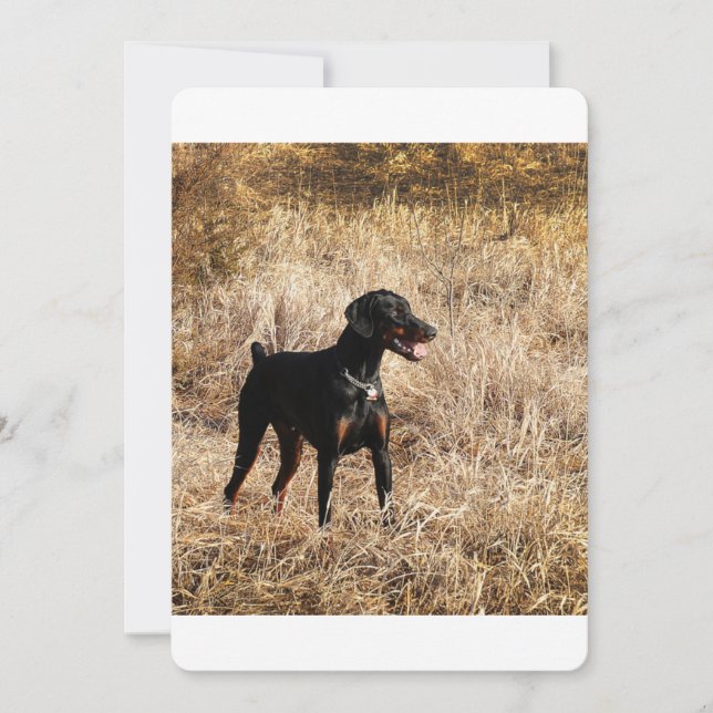 Dobermann_Bruno.png (Devant)