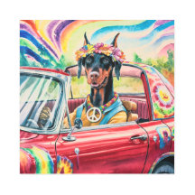Dobermann des années 60 super en Red Convertible