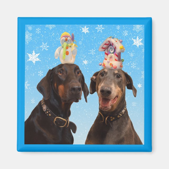 Dobermans hiver Noël drôle aimant carré (Devant)