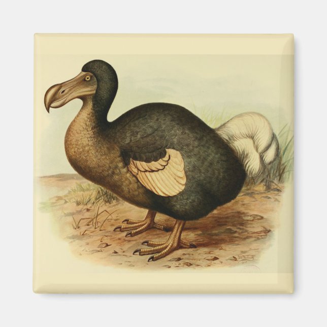 Dodo Magnet (Devant)