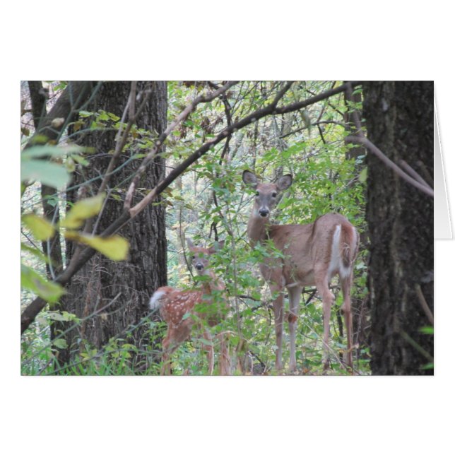 Doe et son père (Devant Horizontal)