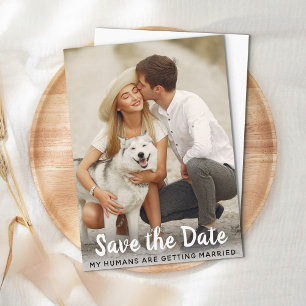 Dog Wedding Save