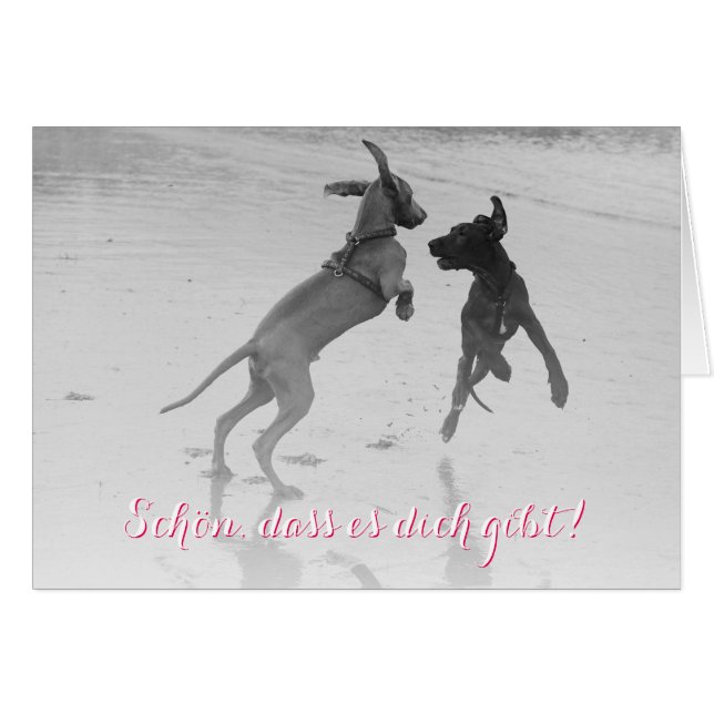 Doggenkarte "Schön" (Devant horizontal)